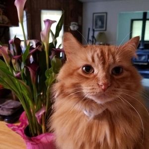 Meet your Posher, Bill-cristina